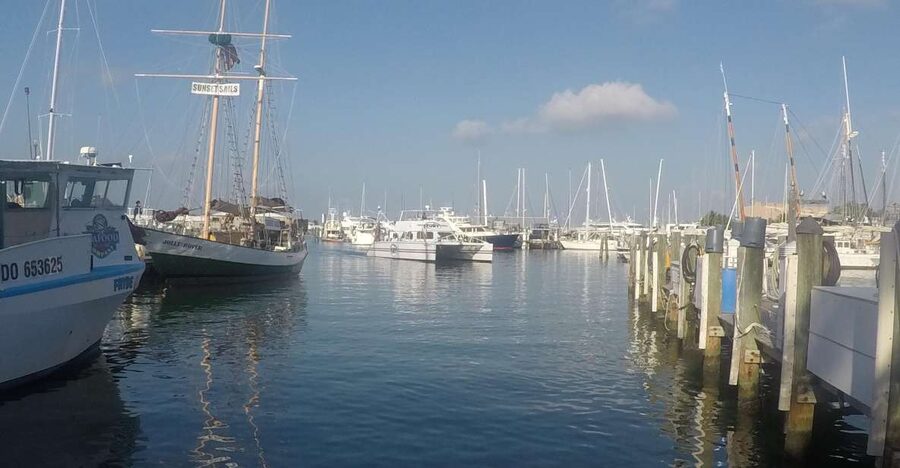 Key West Tour and Coral Reef Snorkeling with Open Bar - Key points to know before booking