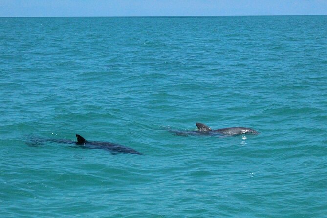 Key West Tours from Miami: Dolphin Discovery, Snorkeling & More ! - Arriving in Key West