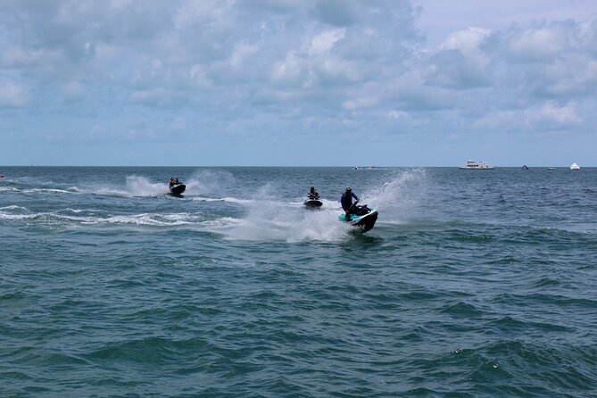 Key West Tours from Miami: Dolphin Discovery, Snorkeling & More ! - Coral reef activities and what they add