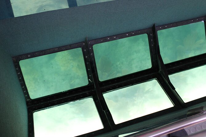 Key West Tours from Miami: Dolphin Discovery, Snorkeling & More ! - What the $60.84 price really covers