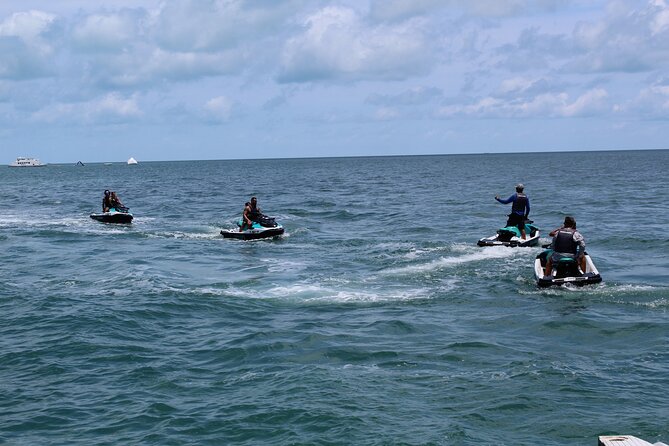 Key West Tours from Miami: Dolphin Discovery, Snorkeling & More ! - Is the Key West coach trip worth booking?