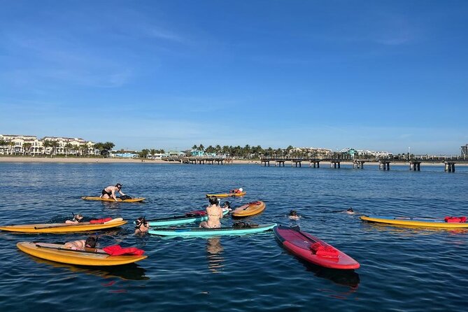 Lauderdale By The Sea Replicated Shipwreck & Reef Snorkel Trails - Marine Life: What You Might Find