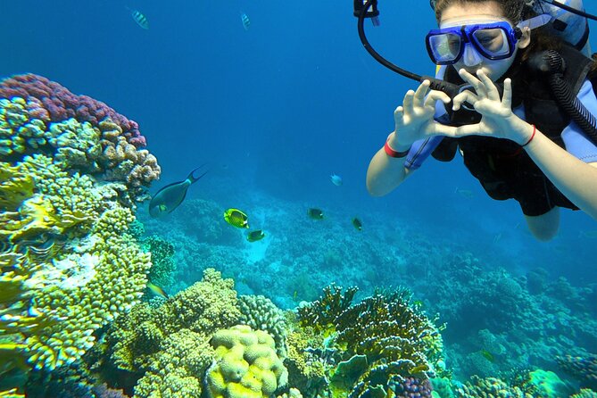 Learn to Scuba Dive with a Professional Instructor in Key Largo - All Inclusive - Key points to know before booking