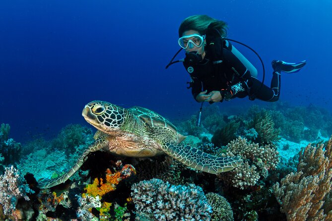 Learn to Scuba Dive with a Professional Instructor in Key Largo - All Inclusive - The instructors make the difference