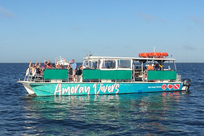 Learn to Scuba Dive with a Professional Instructor in Key Largo - All Inclusive - What you may see below the surface