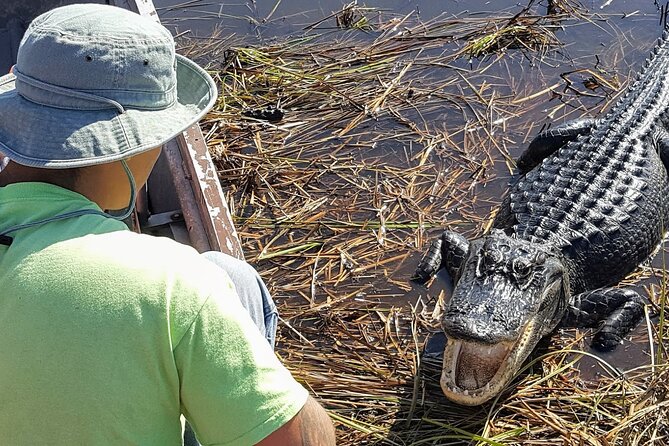 Little Havana Walking Tour + 1 Hour Everglades Airboat Ride - What the five-hour schedule means for you