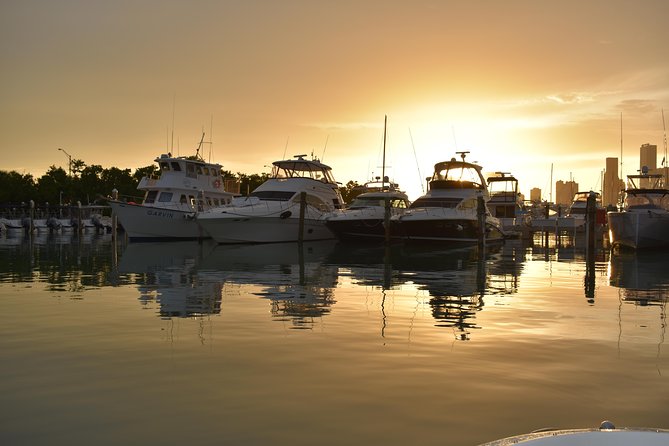 Luxury Charter + Access to Hidden Gems in Biscayne National Park - Why this private charter feels different from a standard Miami boat ride