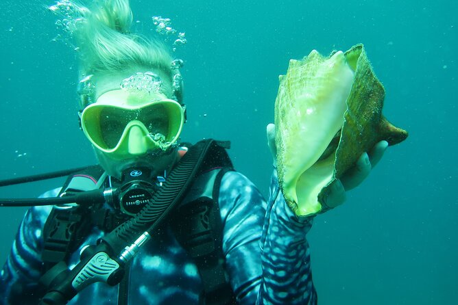 Luxury Snorkeling on Your Vacation Exclusively Private Guaranteed - Equipment, snacks, and comfort
