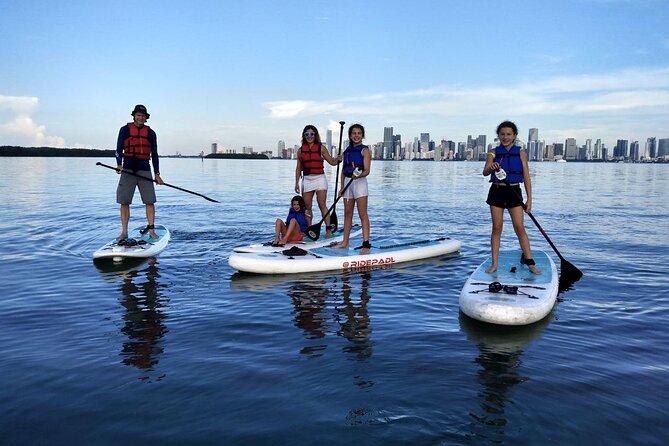 Manatee Season Guided Paddle Tour from Virginia Key - Mangroves, beaches, and the Miami skyline