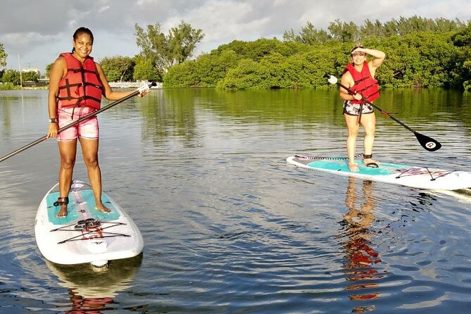 Manatee Season Guided Paddle Tour from Virginia Key - Is $80 per person a fair price?