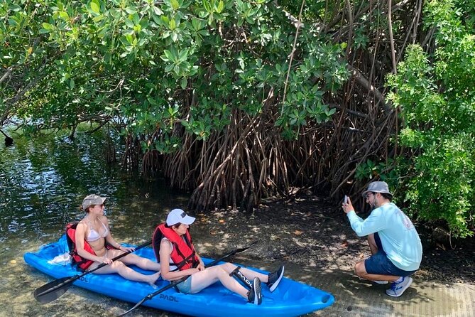 Manatee Season Guided Paddle Tour from Virginia Key - The best season and the best expectations