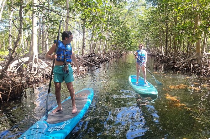 Mangrove Jungle Exploration on SUP/Kayak - Wildlife watching with real surprises