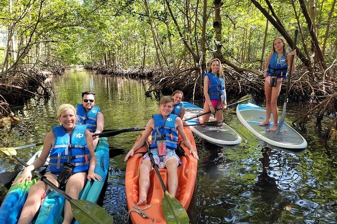Mangrove Jungle Exploration on SUP/Kayak - Kayak or paddle board?