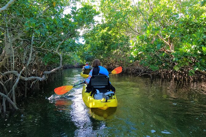 Mangrove Tunnel Kayak Adventure in Key Largo - Paddling into Key Largo’s mangrove tunnels