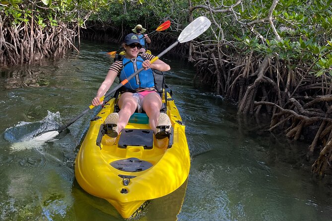 Mangrove Tunnel Kayak Adventure in Key Largo - The guides make the difference