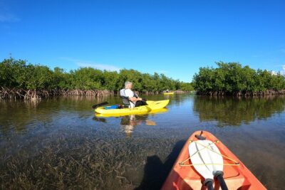 Mangrove Tunnel Kayak Adventure in Key Largo