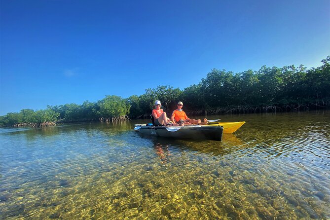 Mangrove Tunnel Kayak Adventure in Key Largo - Who will get the most from this tour