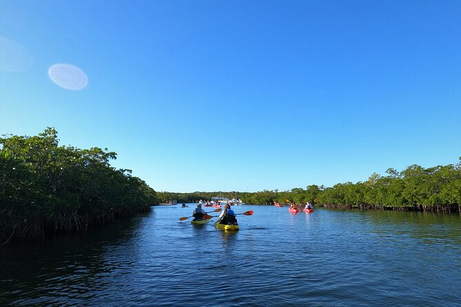 Mangrove Tunnel Kayak Adventure in Key Largo - Is $68 a fair price?