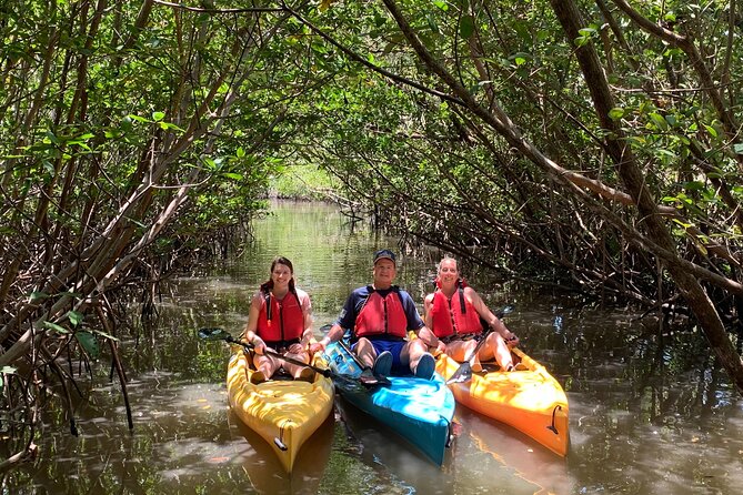 Mangrove Tunnel Kayak Eco Tour - The first hour: safety, practice, and finding your rhythm