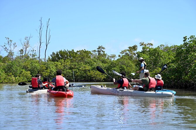Mangrove Tunnel Kayak Eco Tour - What Ariana adds to the experience