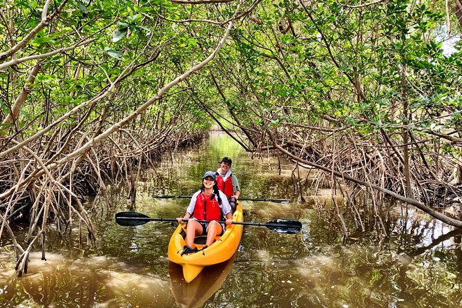 Mangrove Tunnel Kayak Eco Tour - Is $75 a fair price?