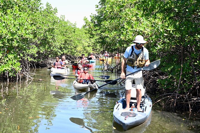 Mangrove Tunnel Kayak Eco Tour - Timing, booking, and what to bring