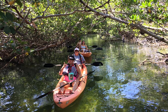 Mangroves and Manatees - Guided Kayak Eco Tour - What makes this Key Largo kayak tour worth your time