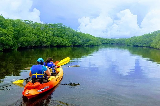Mangroves and Manatees - Guided Kayak Eco Tour - Launching from 90773 Old Highway in Tavernier