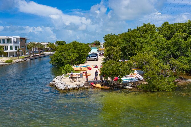 Mangroves and Manatees - Guided Kayak Eco Tour - Entering the mangrove tunnels