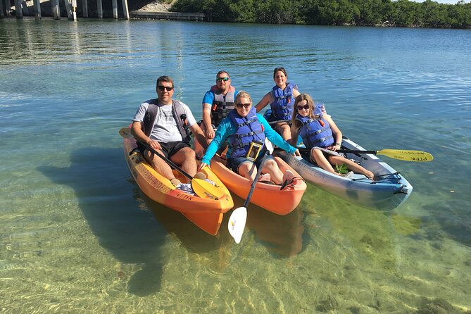 Mangroves and Manatees - Guided Kayak Eco Tour - Looking for manatees and other wildlife