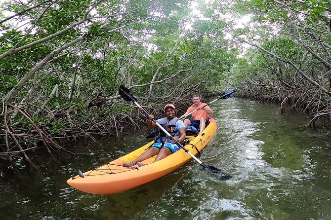 Mangroves and Manatees - Guided Kayak Eco Tour - How difficult is the two-hour paddle?