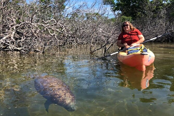 Mangroves and Manatees - Guided Kayak Eco Tour - Is $69 a fair price for two hours?