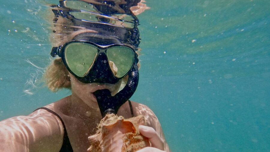 Mermaid Snorkel and Video Shoot - West Palm Beach - A simple plan for a smoother morning or afternoon