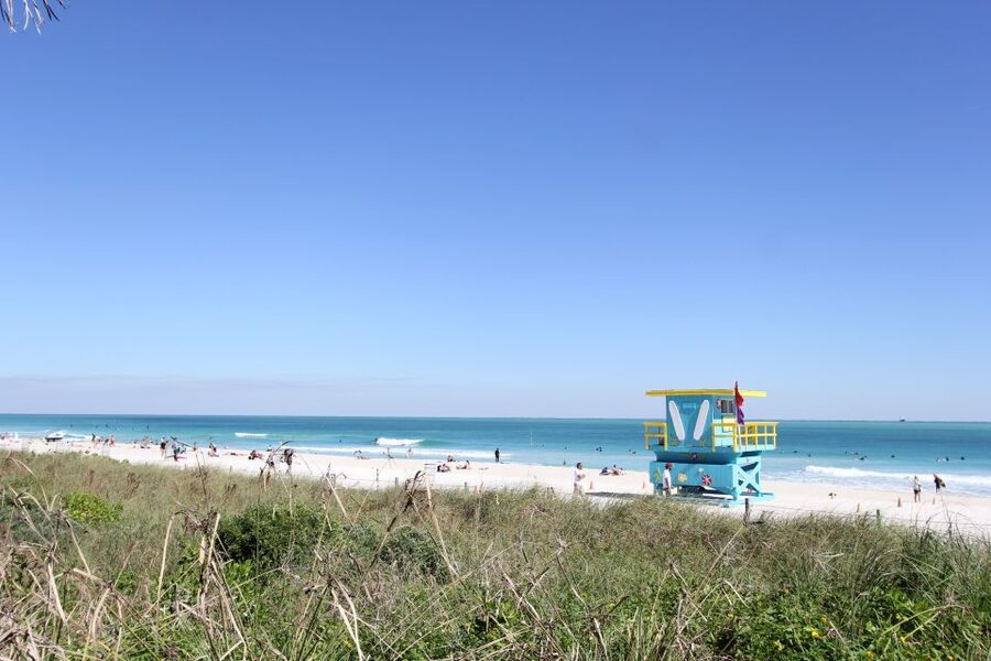 Miami: 2-Hour Art Deco Bike Tour - Holocaust Memorial and Miami Beach Botanical Gardens