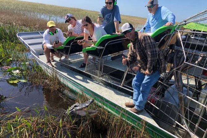 Miami: 60 Minute Private Everglades Airboat Ride - Spotting alligators without turning the Everglades into a show