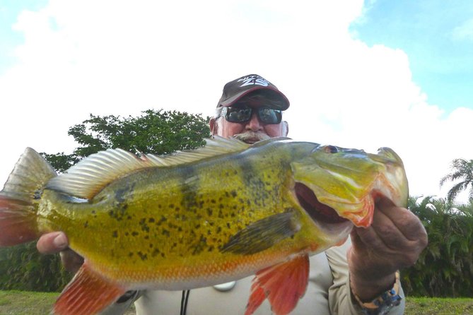 Miami Airport Lakes Peacock Bass Fishing Trip (1 to 4 ppl) - Antonio Maceo Park is the simple launch point