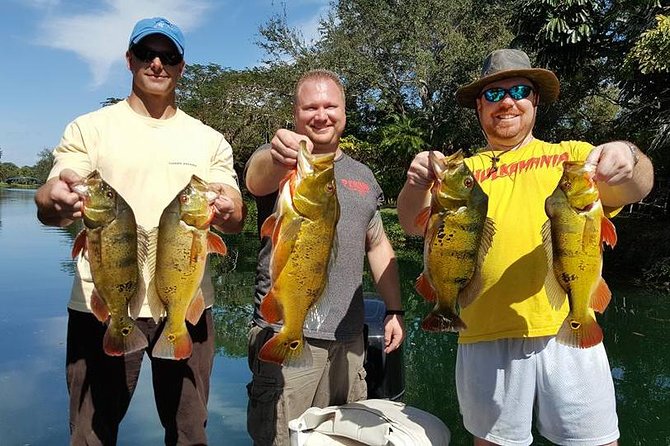 Miami Airport Lakes Peacock Bass Fishing Trip (1 to 4 ppl) - What the private boat setup adds