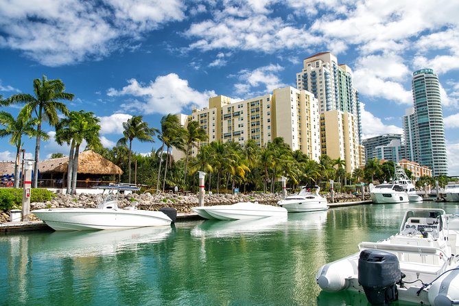 Miami and Everglades Adventure: Airboat & Bay Cruise Combo - From Miami towers to the River of Grass