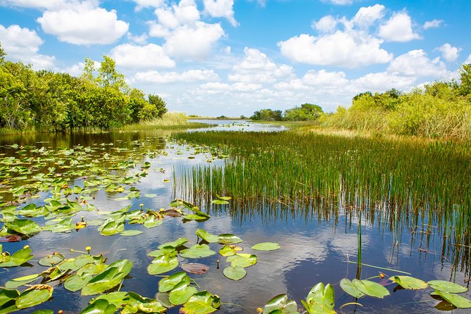 Miami and Everglades Adventure: Airboat & Bay Cruise Combo - Biscayne Bay shows Miami from the water