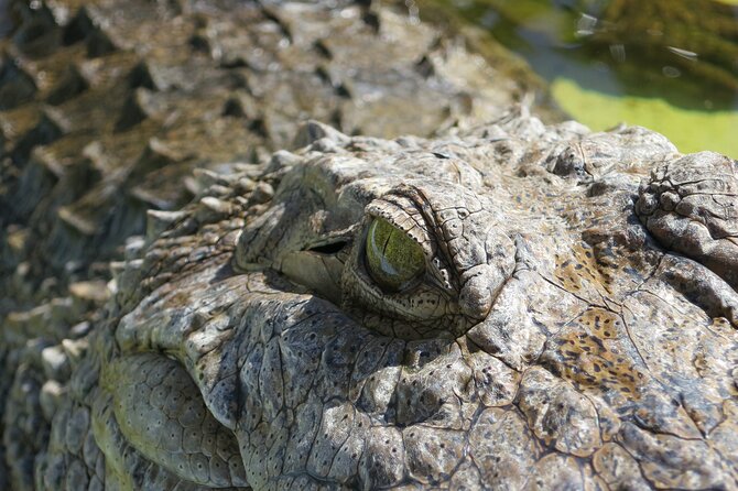 Miami and Everglades Adventure: Airboat & Bay Cruise Combo - The cruise ticket problem is worth taking seriously