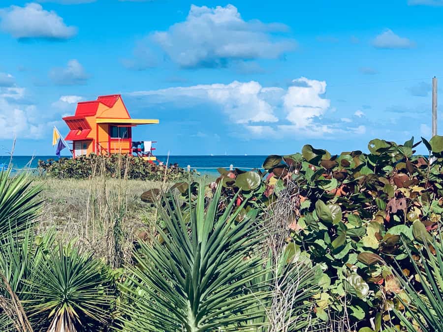 Miami Beach: 1-Hour Segway Glide - What the small group adds