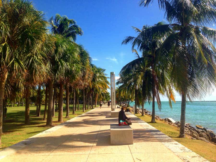 Miami Beach: 1-Hour Segway Glide - Tips for a smoother one-hour glide