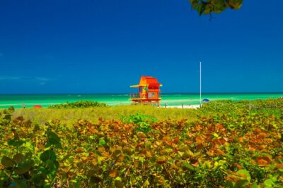 Miami Beach Art Deco & Hidden Gems Bike Tour with Local Historian