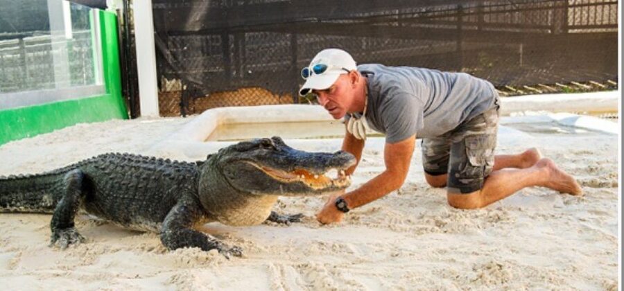 Miami Beach: Everglades Airboat Tours and Rides - What the $75 price really buys you