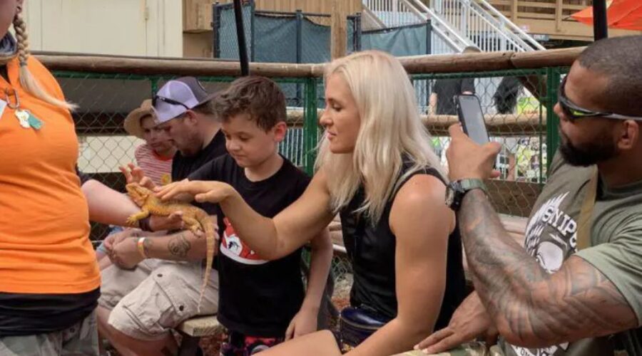 Miami Beach: Everglades Airboat Tours and Rides - The live alligator presentation after the ride