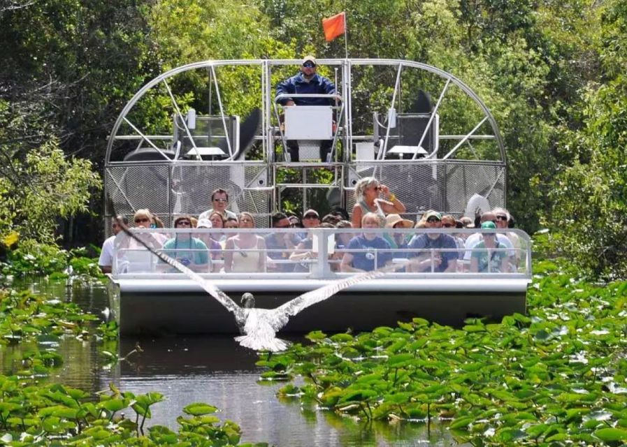 Miami Beach: Everglades Airboat Tours and Rides - Timing, cancellation, and booking advice