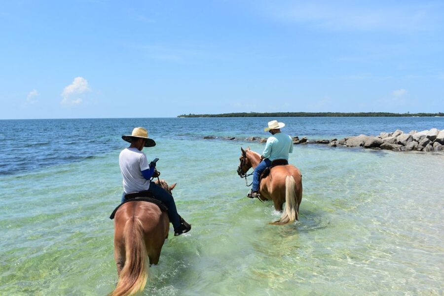 Miami: Beach Horse Ride & Nature Trail - Quick take: what makes this ride worth considering
