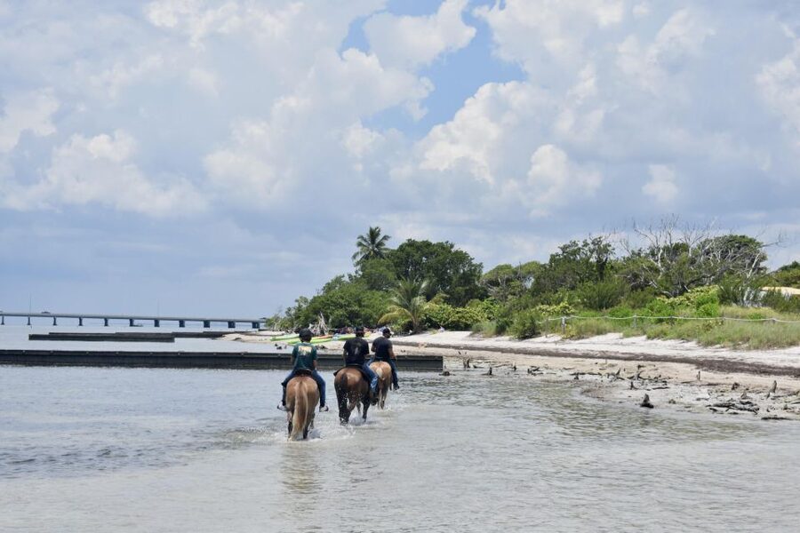 Miami: Beach Horse Ride & Nature Trail - From the ranch to Virginia Key’s nature trail