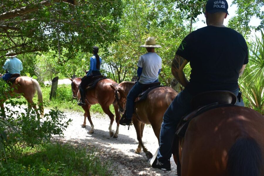 Miami: Beach Horse Ride & Nature Trail - Heat, insects, and what to wear