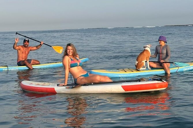 Miami Beach Paddleboard Rental with Instruction - Starting at 1416 18th Street in Miami Beach